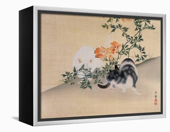 Two Cats, Illustration from 'The Kokka' Magazine, 1898-99-Japanese School-Framed Premier Image Canvas