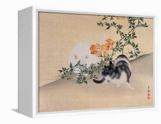 Two Cats, Illustration from 'The Kokka' Magazine, 1898-99-Japanese School-Framed Premier Image Canvas