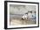 Two Cats on Stone Steps-Alberto Coto-Framed Photographic Print