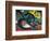 Two Cats-Franz Marc-Framed Art Print