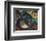 Two Cats-Franz Marc-Framed Art Print