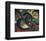 Two Cats-Franz Marc-Framed Art Print