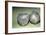 Two Celtic pots from Manching, Germany, 1st century BC-Unknown-Framed Giclee Print