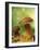 Two Ceps (Boletus Edulis) in Leaves-Vladimir Shulevsky-Framed Photographic Print