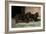 Two Champion Sussex Spaniels-null-Framed Art Print