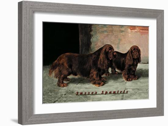 Two Champion Sussex Spaniels-null-Framed Art Print