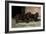 Two Champion Sussex Spaniels-null-Framed Art Print