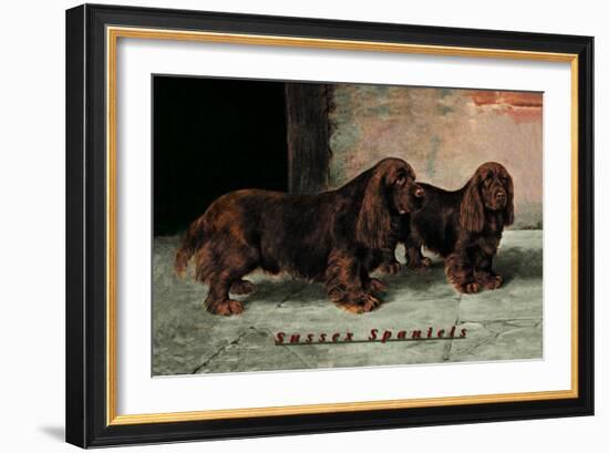 Two Champion Sussex Spaniels-null-Framed Art Print