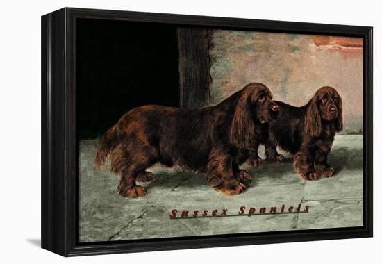 Two Champion Sussex Spaniels-null-Framed Stretched Canvas