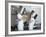 Two Chefs Having Discussion with Large Pans on their Heads-Robert Kneschke-Framed Photographic Print