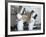 Two Chefs Having Discussion with Large Pans on their Heads-Robert Kneschke-Framed Photographic Print