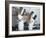 Two Chefs Having Discussion with Large Pans on their Heads-Robert Kneschke-Framed Photographic Print