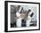 Two Chefs Having Discussion with Large Pans on their Heads-Robert Kneschke-Framed Photographic Print