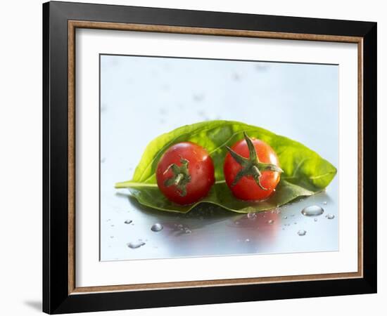 Two Cherry Tomatoes on a Basil Leaf-Roland Krieg-Framed Photographic Print