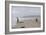 Two Children Playing on a Beach-Clive Nolan-Framed Photographic Print