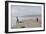 Two Children Playing on a Beach-Clive Nolan-Framed Photographic Print