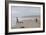 Two Children Playing on a Beach-Clive Nolan-Framed Photographic Print