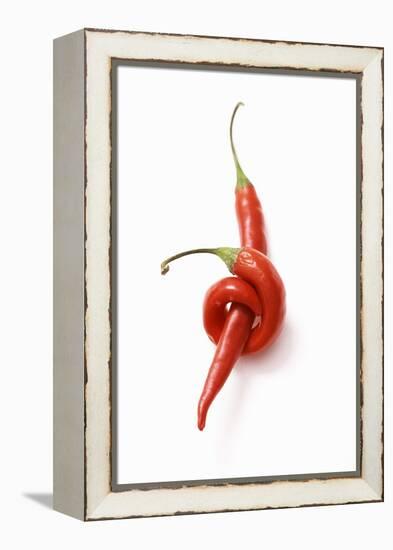 Two Chillies on White Background-Marc O^ Finley-Framed Premier Image Canvas