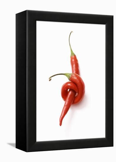 Two Chillies on White Background-Marc O^ Finley-Framed Premier Image Canvas