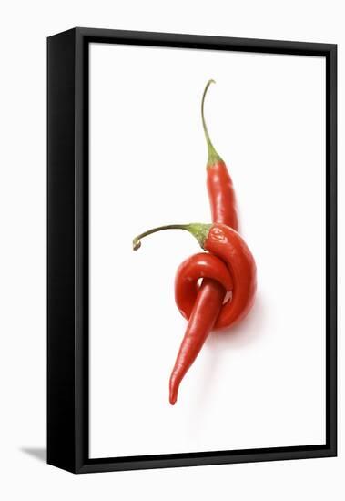 Two Chillies on White Background-Marc O^ Finley-Framed Premier Image Canvas