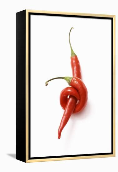 Two Chillies on White Background-Marc O^ Finley-Framed Premier Image Canvas