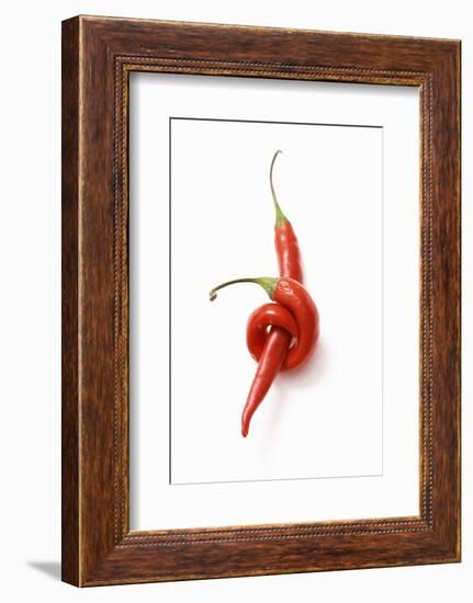 Two Chillies on White Background-Marc O^ Finley-Framed Photographic Print