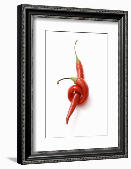 Two Chillies on White Background-Marc O^ Finley-Framed Photographic Print