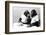 Two Chimpanzees celebrating Easter-Staff-Framed Photographic Print