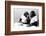 Two Chimpanzees celebrating Easter-Staff-Framed Photographic Print