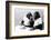 Two Chimpanzees celebrating Easter-Staff-Framed Photographic Print