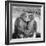 Two Chimpanzees Hugging-Michael J. Ackerman-Framed Photographic Print