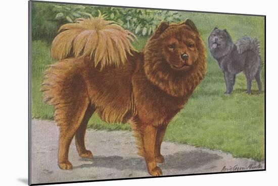 Two Chow Dogs Standing-Louis Agassiz Fuertes-Mounted Art Print