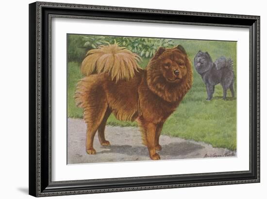 Two Chow Dogs Standing-Louis Agassiz Fuertes-Framed Art Print