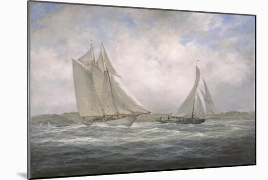 Two Classics: 'Aello Beta' and 'Marigold' Off the Isle of Wight, 2005-Richard Willis-Mounted Giclee Print