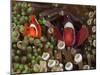 Two Clownfish Among Anemone Tentacles, Raja Ampat, Indonesia-null-Mounted Photographic Print