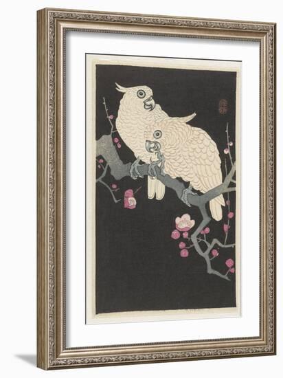 Two Cockatoos and Plum Blossom, 1925-36 (Colour Woodcut)-Ohara Koson-Framed Giclee Print