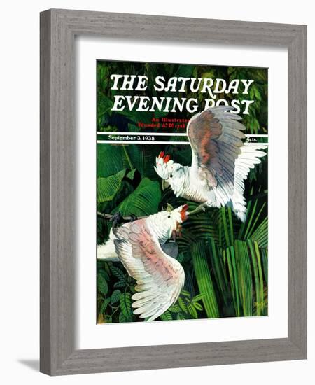 "Two Cockatoos," Saturday Evening Post Cover, September 3, 1938-Julius Moessel-Framed Giclee Print