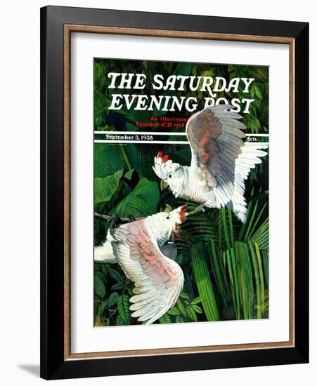 "Two Cockatoos," Saturday Evening Post Cover, September 3, 1938-Julius Moessel-Framed Giclee Print