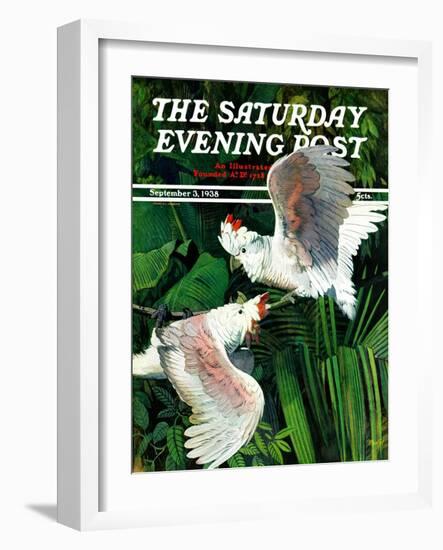 "Two Cockatoos," Saturday Evening Post Cover, September 3, 1938-Julius Moessel-Framed Giclee Print