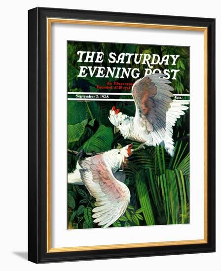 "Two Cockatoos," Saturday Evening Post Cover, September 3, 1938-Julius Moessel-Framed Giclee Print