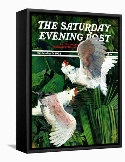 "Two Cockatoos," Saturday Evening Post Cover, September 3, 1938-Julius Moessel-Framed Premier Image Canvas