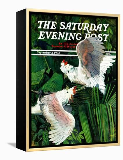"Two Cockatoos," Saturday Evening Post Cover, September 3, 1938-Julius Moessel-Framed Premier Image Canvas