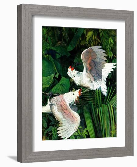 "Two Cockatoos,"September 3, 1938-Julius Moessel-Framed Giclee Print