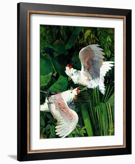 "Two Cockatoos,"September 3, 1938-Julius Moessel-Framed Giclee Print