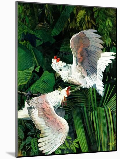 "Two Cockatoos,"September 3, 1938-Julius Moessel-Mounted Giclee Print