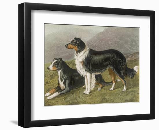 Photographic Print, , large