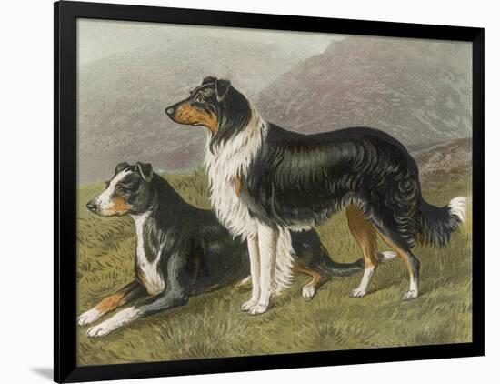 Photographic Print, , large