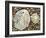 Two Common Limpets on Beach, Normandy, France-Philippe Clement-Framed Photographic Print