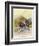 Two Competitors in the Tourist Trophy Race Fight It out Amid the Hills of the Isle of Man-Grimes-Framed Photographic Print