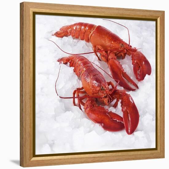 Two Cooked Lobsters on Ice-Jürgen Holz-Framed Premier Image Canvas